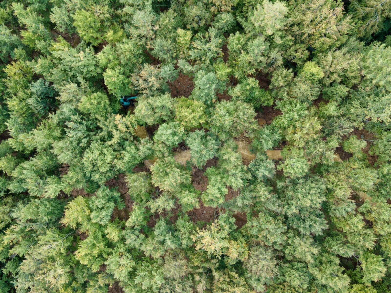 Ride and develop, hemsida-17