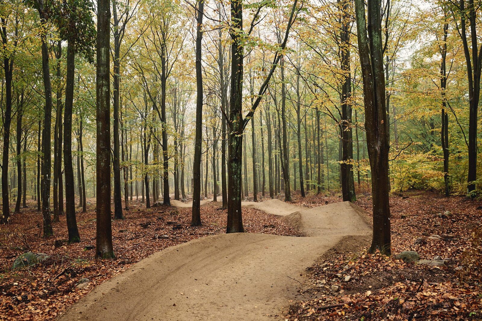 Flowled på Ryssberget i Sölvesborg byggd av Ride and Develop