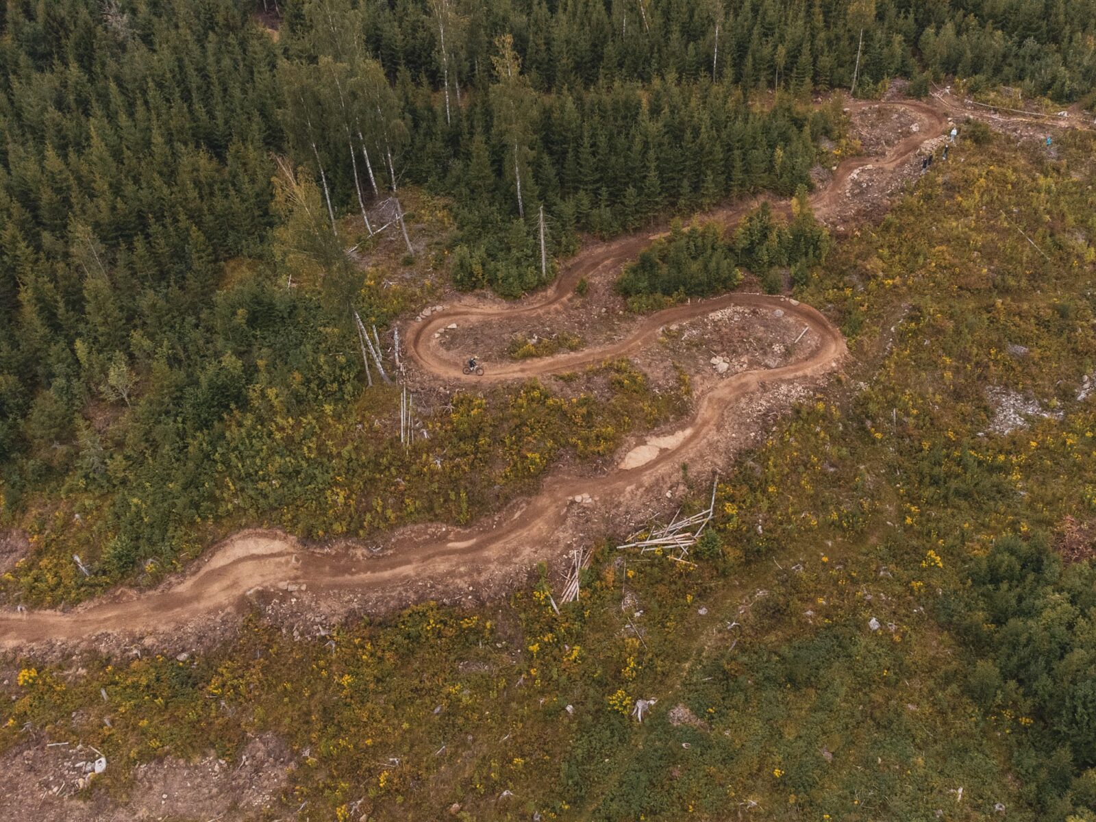 Drönarbild över MTB-leder i Dackestupet