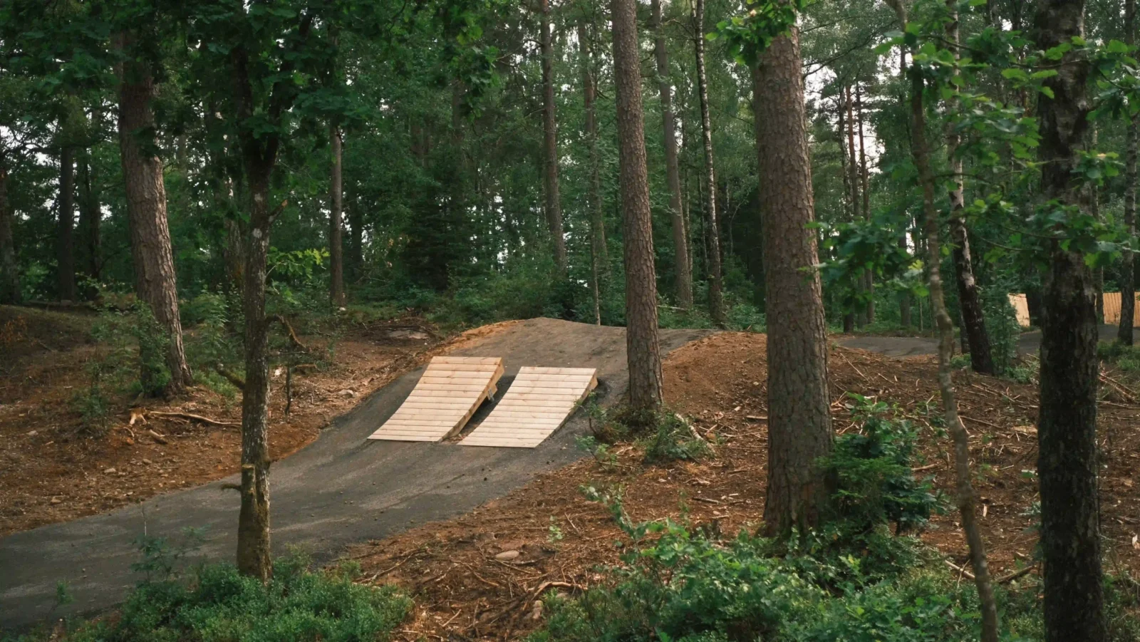 Billingen MTB Arena jumpline